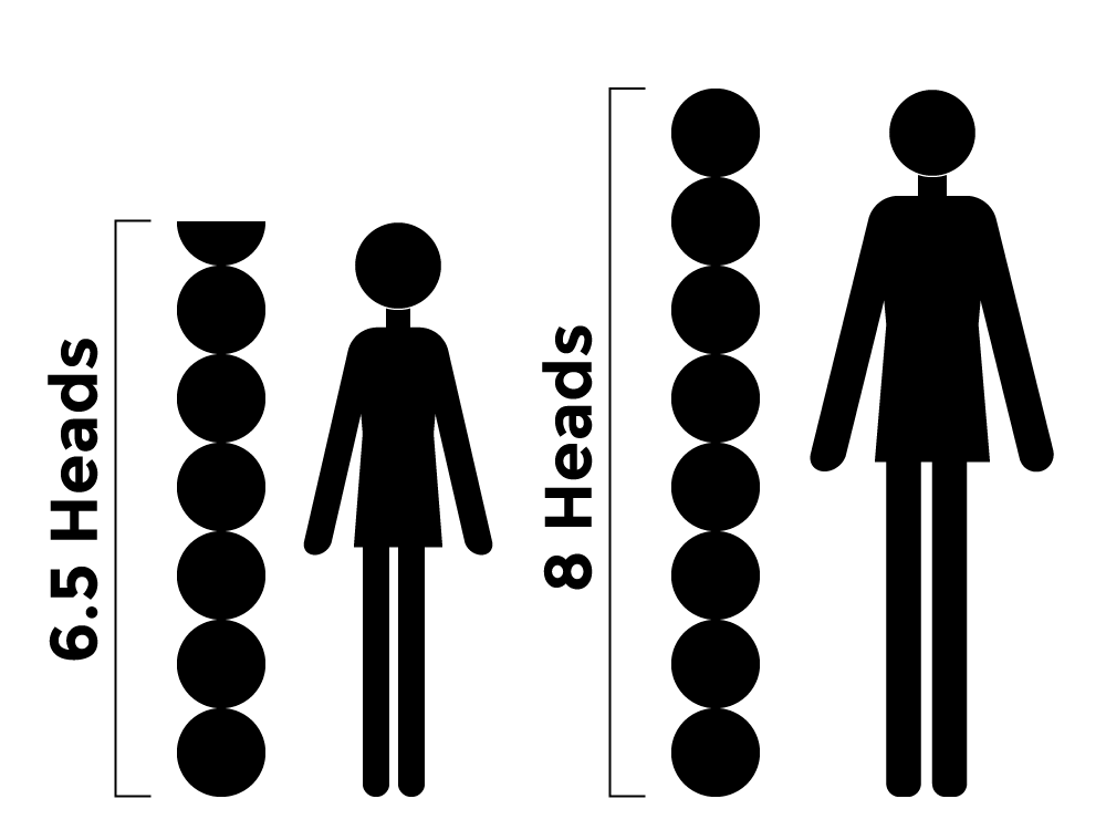 diagram showing the difference between 8 head and 6.5 head drawing proportions